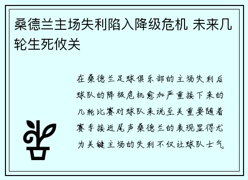 桑德兰主场失利陷入降级危机 未来几轮生死攸关