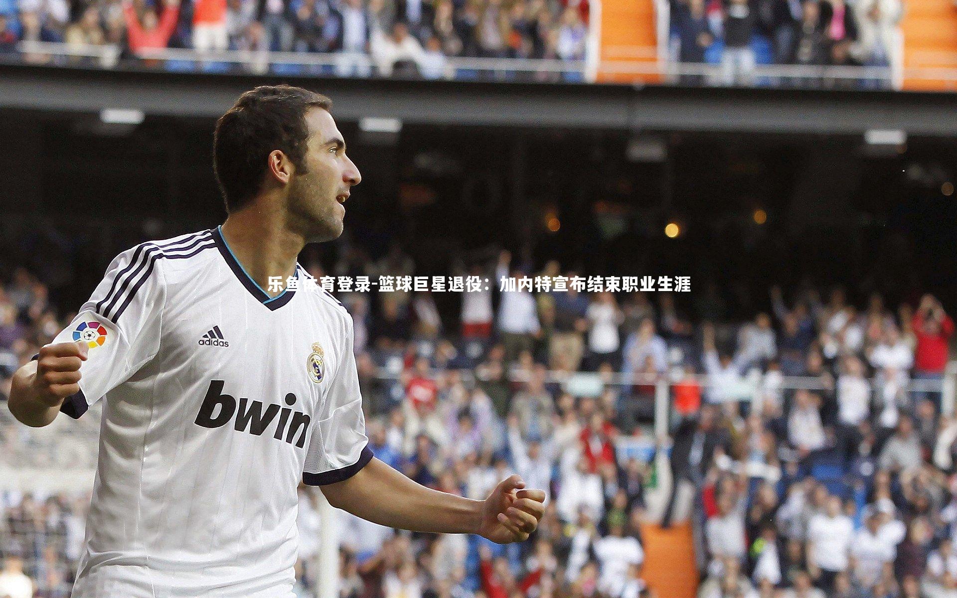 乐鱼体育登录-篮球巨星退役：加内特宣布结束职业生涯