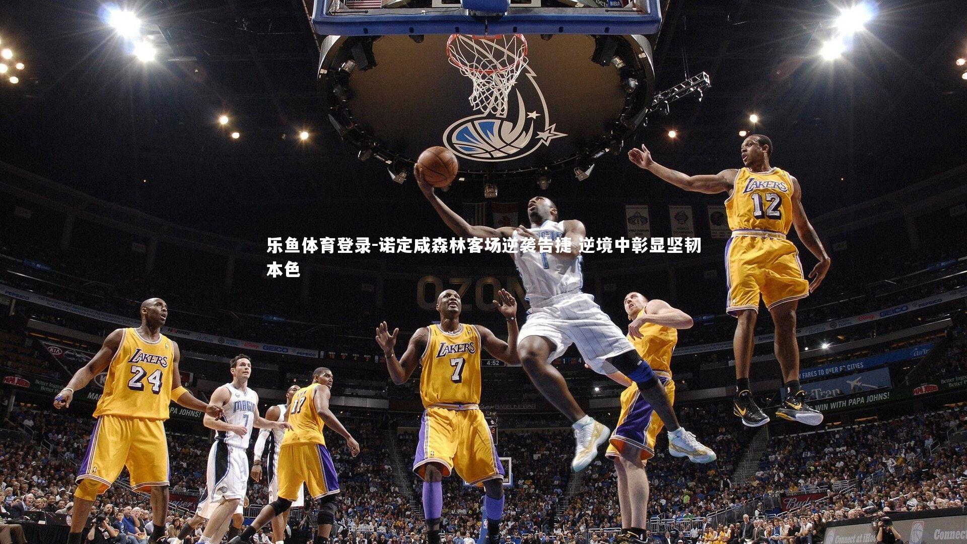 乐鱼体育登录-诺定咸森林客场逆袭告捷 逆境中彰显坚韧本色